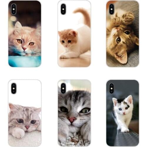 Cute cat Accessories Phone Cases Covers For Samsung Galaxy A3 A5 A7 A9 A8 Star A6 Plus 2018 2015 2016 2017