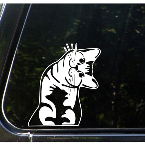 2pcs Black/White Cat - Whatcha Doin? - I Can Haz? - Car Vinyl Decal Sticker (5.5"w x 6"h)