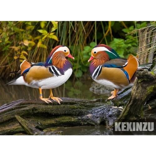 Mandarin duck,Needlework Embroidery 5D DIY Diamond Painting Santa Claus home Rhinestone Cross Stitch Room Decoration Art C-123