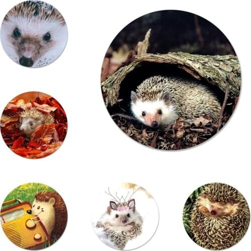 58mm Hedgehog lovely animal Icons Pins Badge Decoration Brooches Metal Badges For Clothes Backpack Decoration