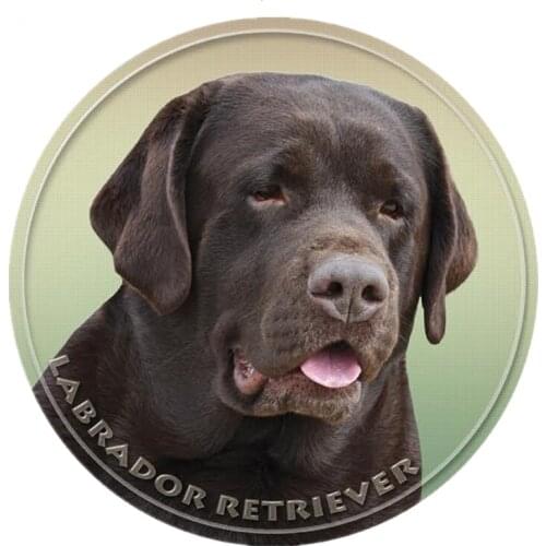 S40421# Various Sizes PVC Decal Labrador Retriever V2 Car Sticker For Bumper Rear Window Laptop Refrigerator Toilet