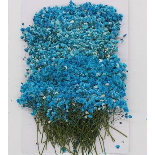 120 Pcs Natural Gypsophila Dried Flowers Small Flowers Bouquet Dry Flowers Press Mini Decorative Photography Background Decor