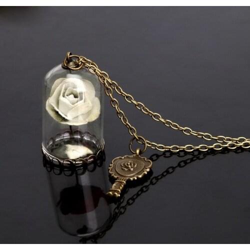 2021 New Women Romantic Dried Flowers Glass Bronze Long Chain Beauty and Beast Necklaces