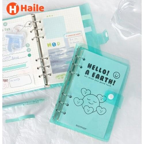 Haile Diary Notebooks