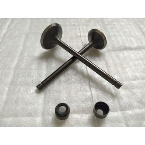 OEM Quality Motorcycle Engine Exhaust&Intake Valve With Stem Oil Seal For Jianshe ATV250-3-5 Loncin 250-F Bashan 250-5 2pcs