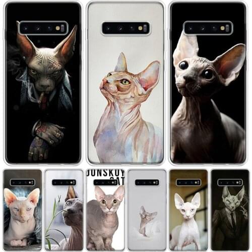 Sphynx Cat Cover Phone Case For Samsung Galaxy A51 A71 A50 A10 A20E A30 A40 A70 M30S A01 A21 A6 A7 A8 A9 Plus + Coque