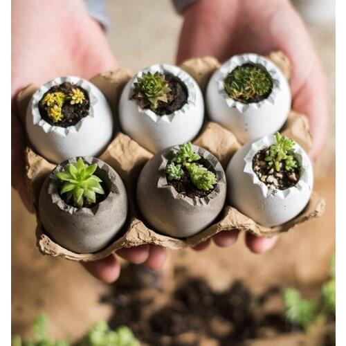 Egg design mini decorative pots and planters