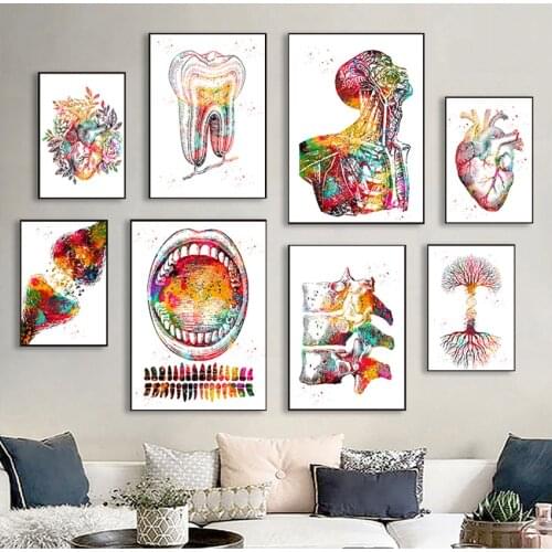 Medical Education Office Picture posters canvas painting Human Anatomy Muscle System Art Print Watercolor Human Figure Painting