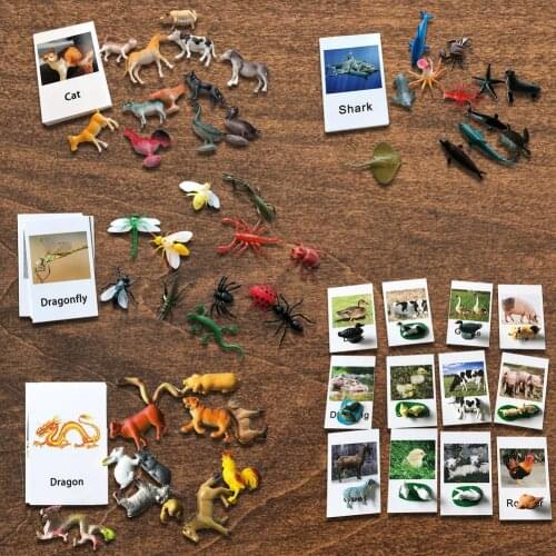 Montessori Animal Moulds Matching Cards Childrens Language Learning Teaching Aids Early Childhood Education Toys