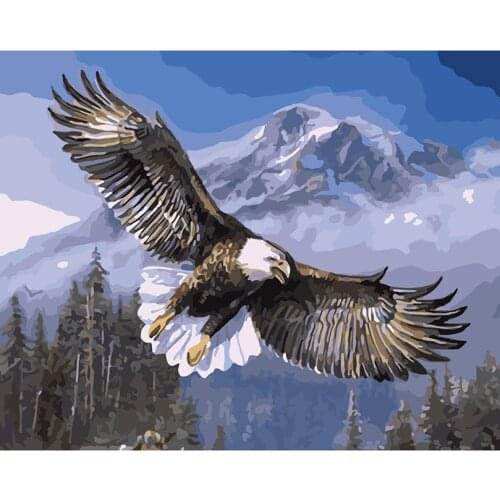 Modern home decoration pictures on wall hand painted canvas painting coloring by numbers Flying eagle picture by numbers RS144