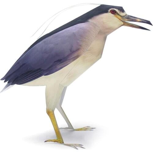 Night Heron Bird Paper Model Realistic Animal Mini Cute 3D Papercraft DIY Kids Adult Handmade Construction Craft Toys WE-021