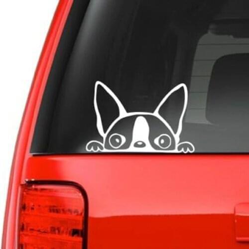 Peeking Boston Terrier (A14) Vinyl Decal Car Sticker Windows Wall Decor Kids Room Decoration Many Colours