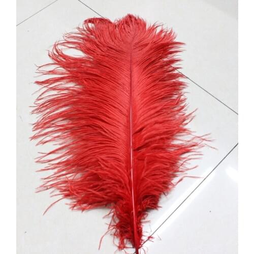 Wholesale Quality 10pcs perfect Leniency Male red natural ostrich feather 12-14inch/30-35cm decorative diy