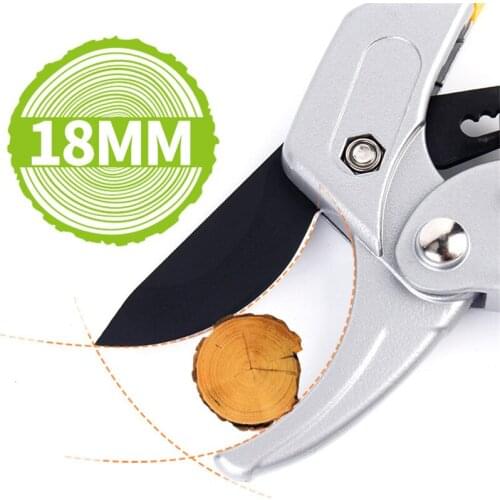 Newswan Secateurs