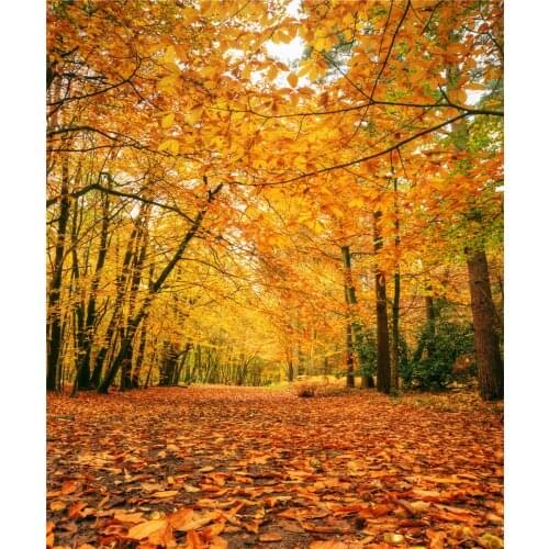 VinylBDS Printing Natural Scenery Photography Backdrop Autumn Defoliation For Outdoor Wedding Photography Background