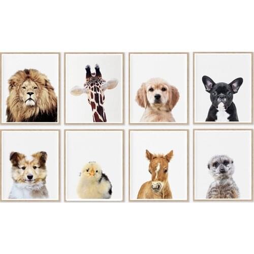 Set of 8 Print Minimalist Horse Animal Meerkat French Bull Dog Chicken Baby Lion Pictures Nursery Sloth No Frame Wall Painting