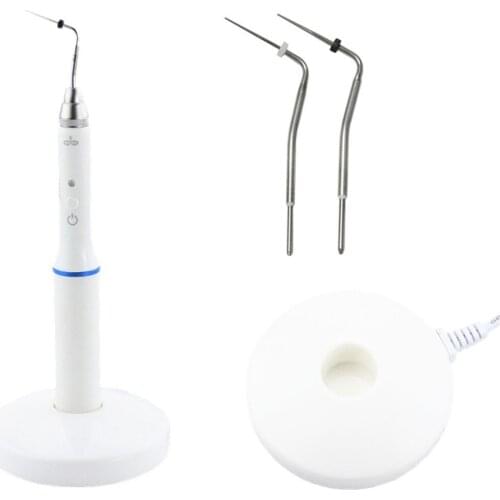 Dental Cordless Wireless Gutta Percha Obturation System Endo Heated Pen 2Tips Green White 110V 220V