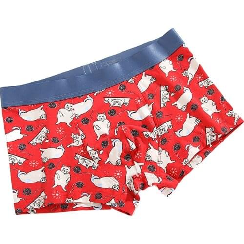 Men's Cotton Briefs DANJIU China