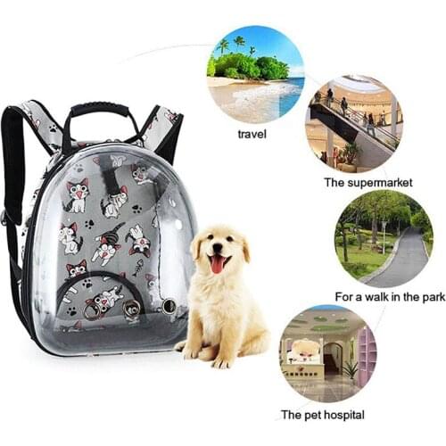 Carrier for cat Backpack fashion Kitty Pets dog transportation trend personality Small animal printing Cat bag pet accessories