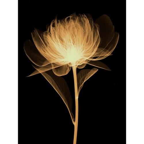 Three Ratels QCF23 Dream art flower self paste stickers instead of mural bedroom art decoration Office decoration