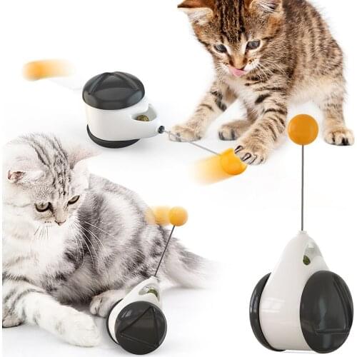 2021 Fun Pets Swing Car for Cat Toy Entertainment Pet Toys Funny Cat Toys Cat Supplies Attract Cats Attention