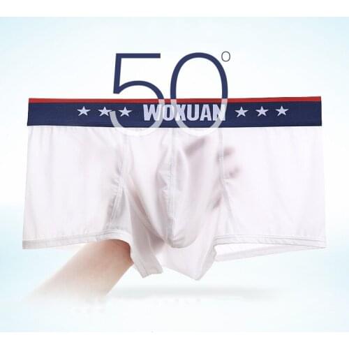 Soft Sexy Super Thin Mens Underwear Boxers Shorts Transparent Low-rise Trunks Breathable Men Cueca Homme Panties