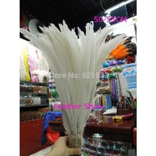 30Pieces/lot-50-55CM SILVER PHEASANT Natural Tail Feathers for Craft/Art/Bridal/Halloween/Pads
