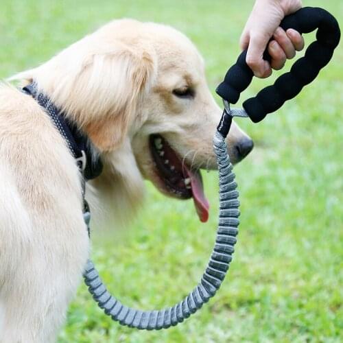 Dog Training Leashes Tactical Buffer Bungee Dog Leash Elastic Leads Nylon Rope Soft Handle Quick Release Strong Dog Chain