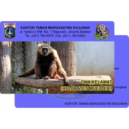 500pcs Custom Printing 125KHZ/13.56MHz RFID NFC VIP Business Card Pirnting For Access Control