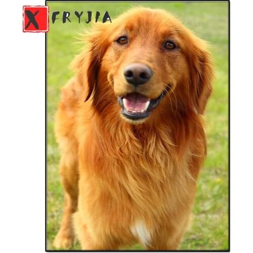 Diamond Painting Golden Retriever Kit Diamond Embroidery Full Square round diamond Beaded DIY Rhinestones Art Decor For Home