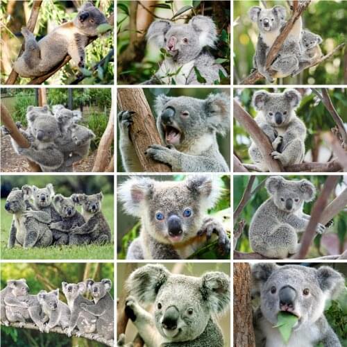 EverShine 5D DIY Full square Diamond Painting Koala Cross stitch Diamond Embroidery Sale Animals Handicraft Art Wall decor