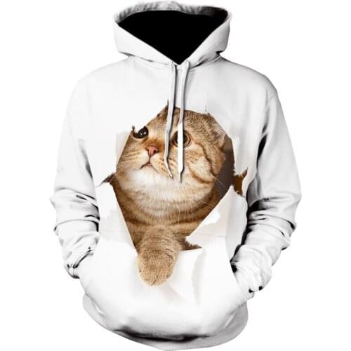 Cartoon kawaii hoodies 3D Printing animal Cat Men women Sweatshirt casual Long Sleeve Hoodie Autumn/Winter Pullovers sudaderas