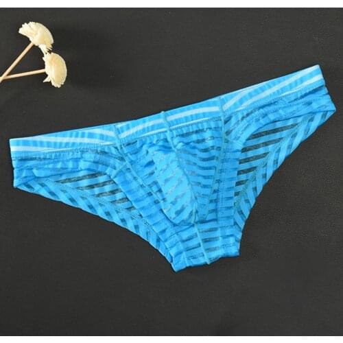 Mesh Briefs Thin Low-Waisted Sex Appeal Breathable Transparent Mens Underwear Sexy Panties Men G-String Thong Bikini Lingerie