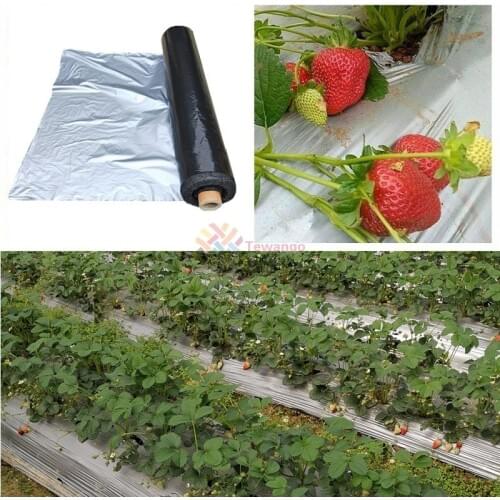 0.02mm Garden Plants Fruit Silver-Black Thicken Plastic Film Greenhouse Reflective Anti Grass Strawberry Mulch Film 1x5M 1X50M