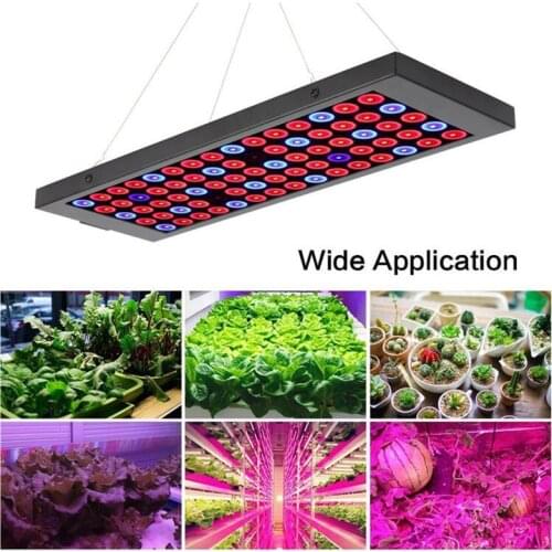 75 LED plant grow Light kit Phyto Lamp growing light fito lamp flower Full Spectrum For indoor Green house Hydro