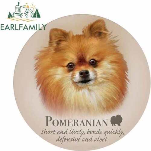 EARLFAMILY 13cm x 13cm Funny Pomeranian Dog Breed Funny Car Stickers DIY Graphics Decal Cartoon Car Body Decoration