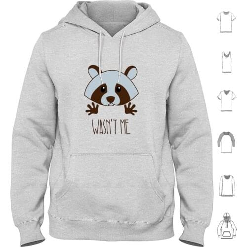 Little Raccoon Hoodies Long Sleeve Raccoon Isolated Vector Cute Animal Funny Abstract Happy White