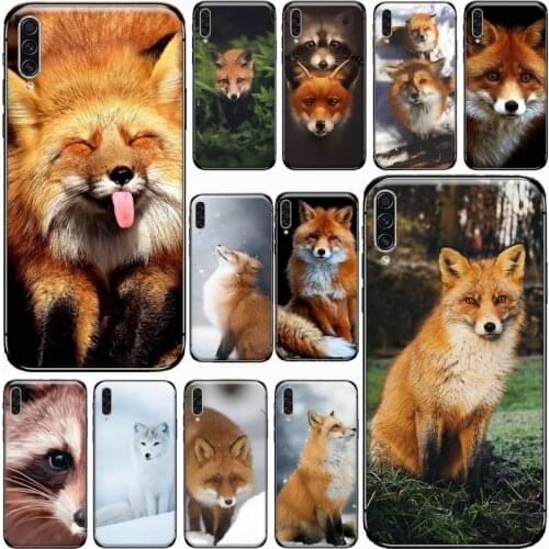 Animal Raccoon Fox Phone Case For Samsung galaxy S 21 20 10 8 A 50 21s 51 71 70 40 20 20e note 10 plus Ultra 5g fe