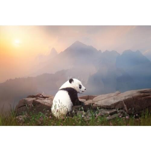Panda Overlay Spring mountain grass rock sunset backgrounds High quality Computer print children kids backdrop