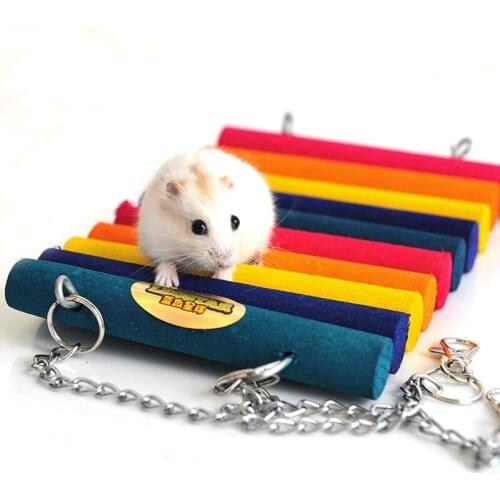 2 Size Funny Rainbow Squirrel Totoro Hamster Rat Ladder Hanging Wood Bridge Pet Gerbil Parrot Hanging Wooden Swing Climbing Toys