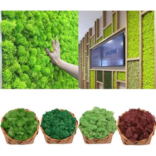 40g High Quality Artificial Green Plant Moss DIY Background Wall Garden Home Decoration Mini Micro Landscape Accessories