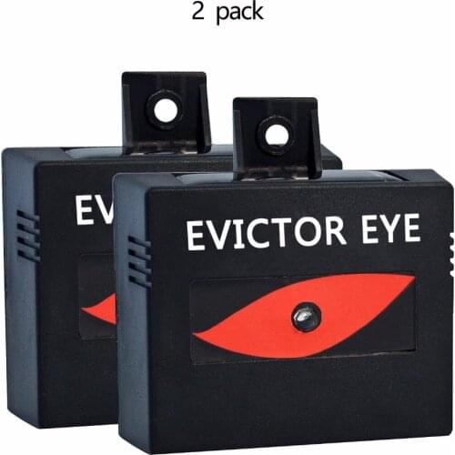 Плюшевые игрушки Leezujun China At AliExpress