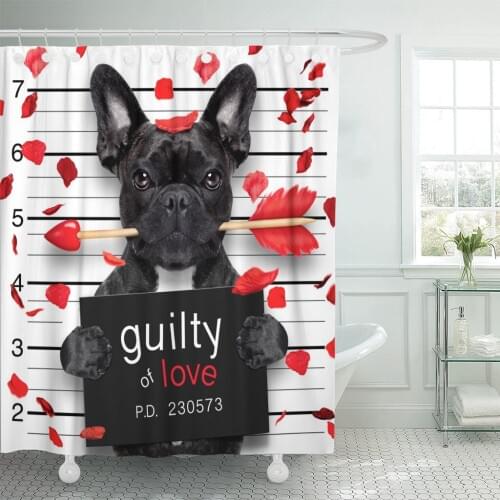 Funny Valentines Bulldog Dog with Rose in Mouth As Mugshot Guilty for Love French Lover Shower Curtain Polyester 72 x 72 inches