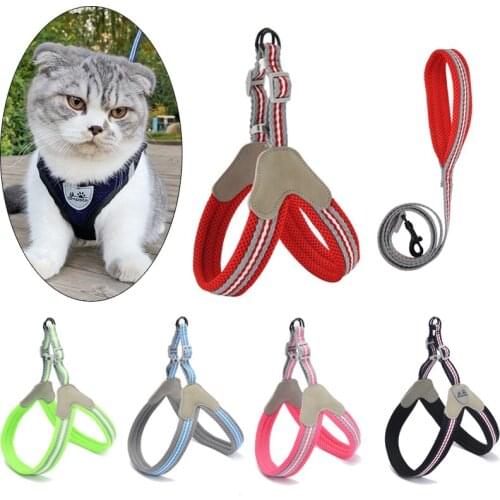 Outdoor Walking Puppy Cat Harnesses for Small Cats Mascotas Accessories Mesh Pet Harness and Leash Set Sphynx Katten Supplies