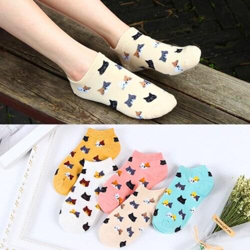 5 Pairs Female Cotton Slippers Ankle Socks Cute Comfortable Casual Animal Cartoon Cat Socks Candy Color Funny Girls Socks