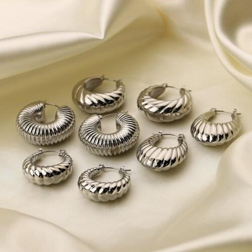 Stainless Steel Earrings 2021 Trend Silver Hoop Earrings for Women Oorbellen Goud Piercings Hoops Girls Pendientes Aro