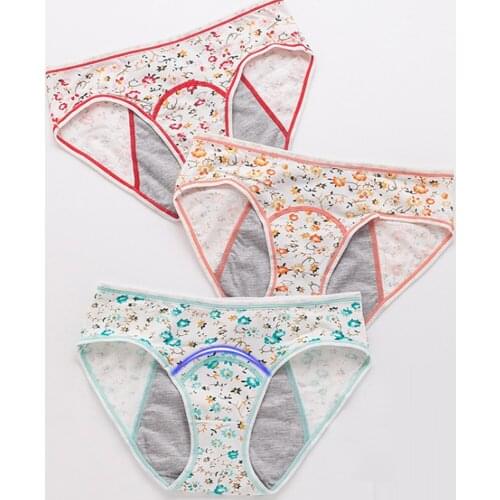 Maiden Sweety Girls Leak Proof Menstrual Period Panties Printing Cotton Physiological Underwear Waterproof Briefs Lingerie