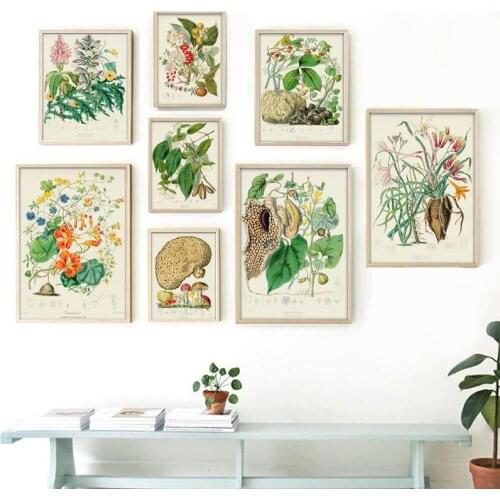Botanical Collection Vintage Posters Prints Botanical Herbs Wall Art Pictures Plants Canvas Painting Home Living Room Wall Decor