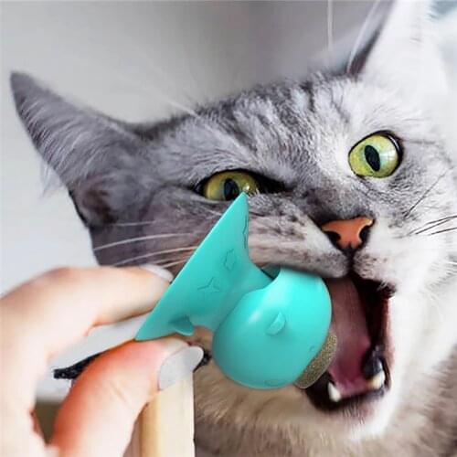 Suckers Catnip Toys Cat Toothbrush Grinding-Resistant Catnip Chew Teething Cleaning Toys Cat Supplies Funny Accessories