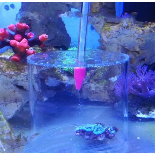 Aquarium coral feeder cover protect food prevent fish eating in marine fish tank